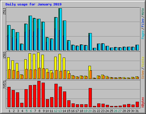 Daily usage for January 2019