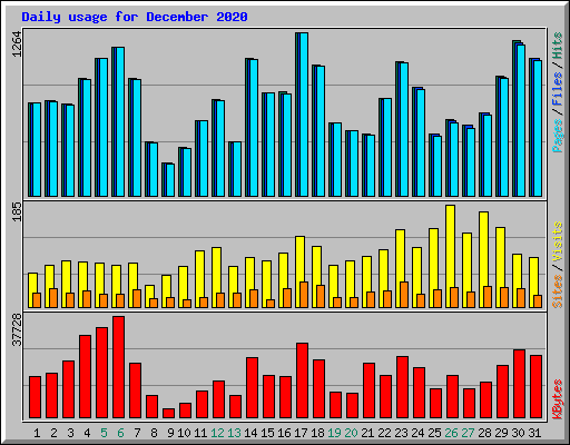 Daily usage for December 2020