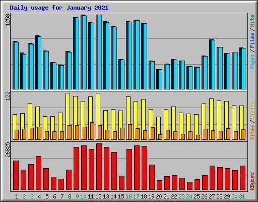 Daily usage for January 2021