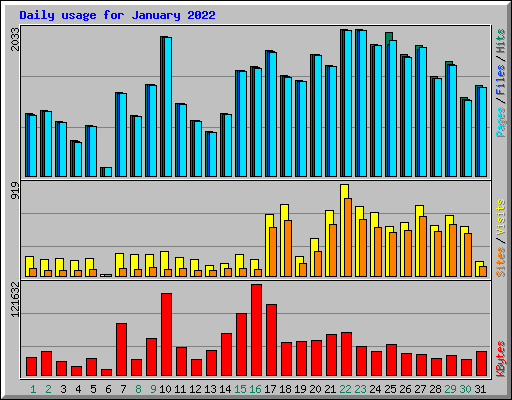 Daily usage for January 2022