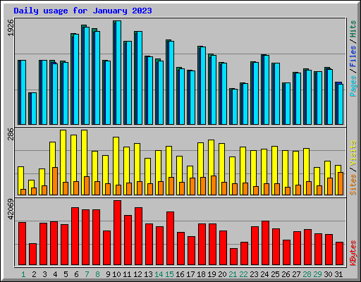 Daily usage for January 2023