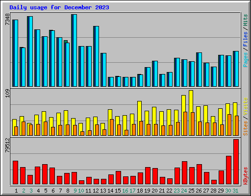 Daily usage for December 2023
