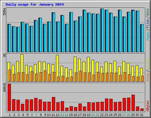 Daily usage for January 2024