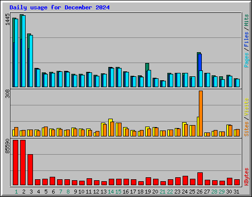 Daily usage for December 2024