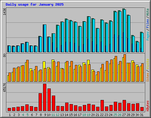 Daily usage for January 2025