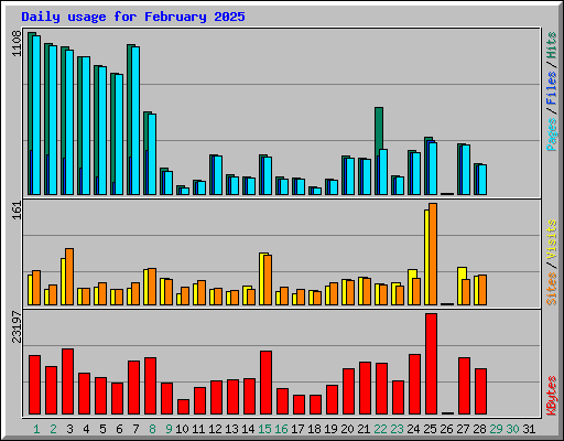 Daily usage for February 2025