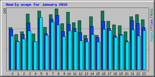 Hourly usage for January 2016