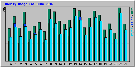 Hourly usage for June 2016