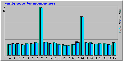 Hourly usage for December 2016