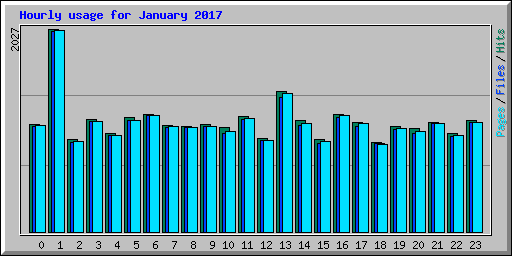 Hourly usage for January 2017