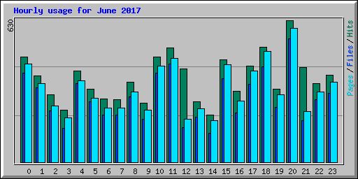 Hourly usage for June 2017