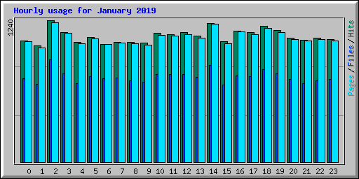 Hourly usage for January 2019