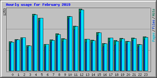 Hourly usage for February 2019