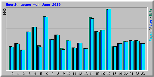 Hourly usage for June 2019
