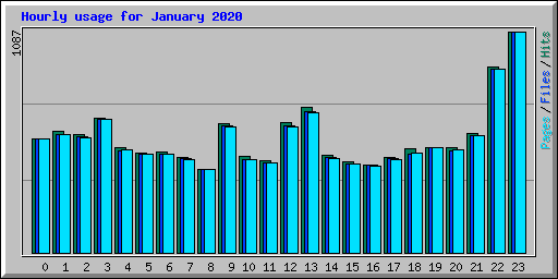Hourly usage for January 2020