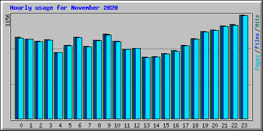 Hourly usage for November 2020