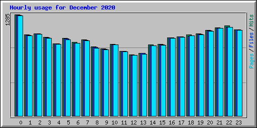 Hourly usage for December 2020