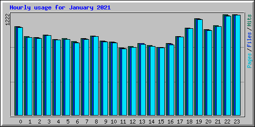 Hourly usage for January 2021