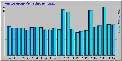 Hourly usage for February 2021