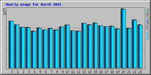 Hourly usage for March 2021
