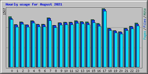 Hourly usage for August 2021