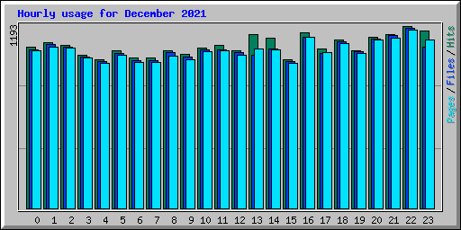 Hourly usage for December 2021