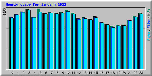 Hourly usage for January 2022