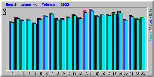 Hourly usage for February 2022