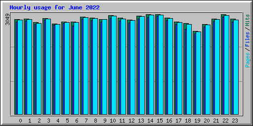 Hourly usage for June 2022