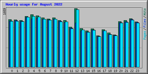 Hourly usage for August 2022