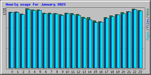 Hourly usage for January 2023