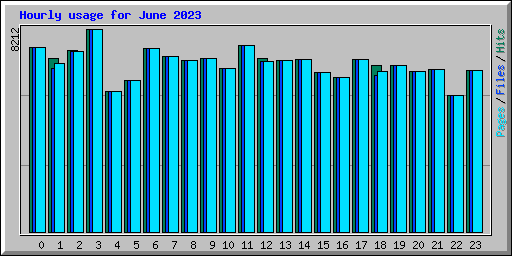 Hourly usage for June 2023
