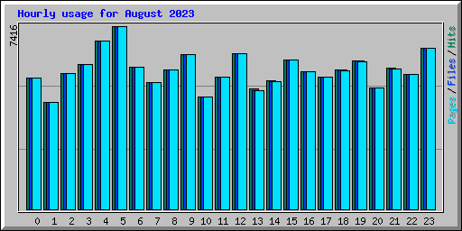 Hourly usage for August 2023