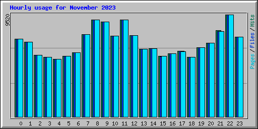 Hourly usage for November 2023