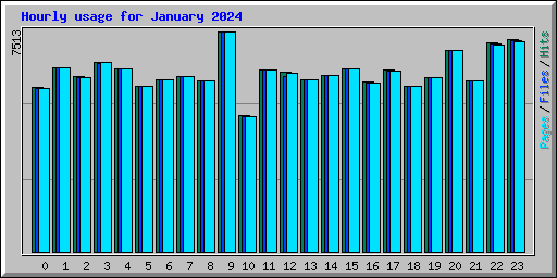 Hourly usage for January 2024