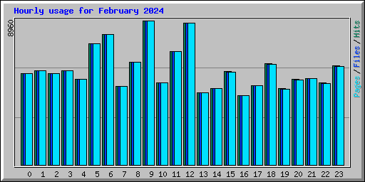 Hourly usage for February 2024