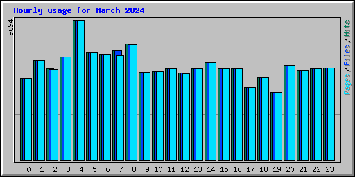 Hourly usage for March 2024