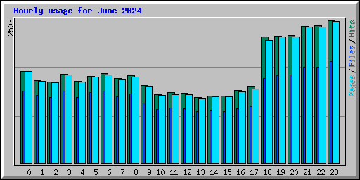 Hourly usage for June 2024