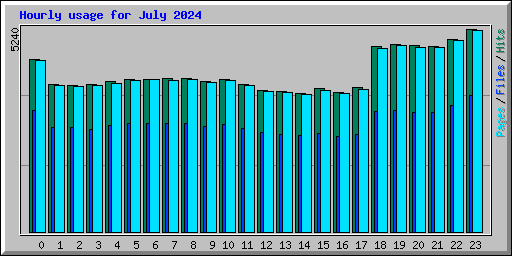 Hourly usage for July 2024