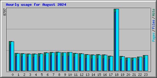 Hourly usage for August 2024