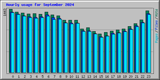 Hourly usage for September 2024