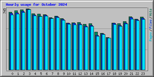 Hourly usage for October 2024