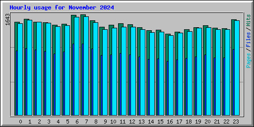 Hourly usage for November 2024