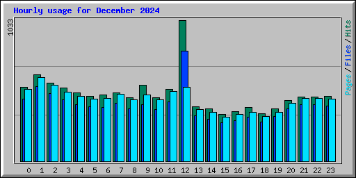 Hourly usage for December 2024