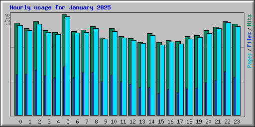 Hourly usage for January 2025