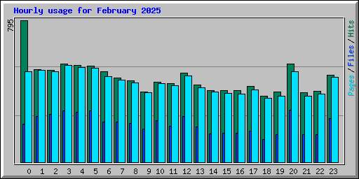Hourly usage for February 2025