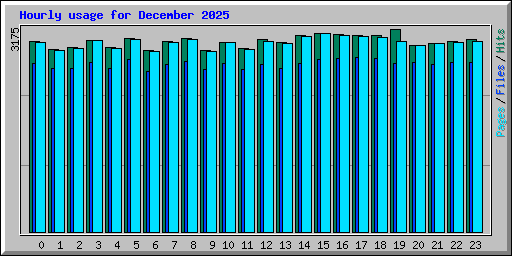 Hourly usage for December 2025