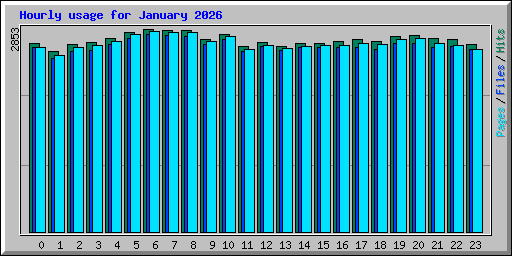 Hourly usage for January 2026